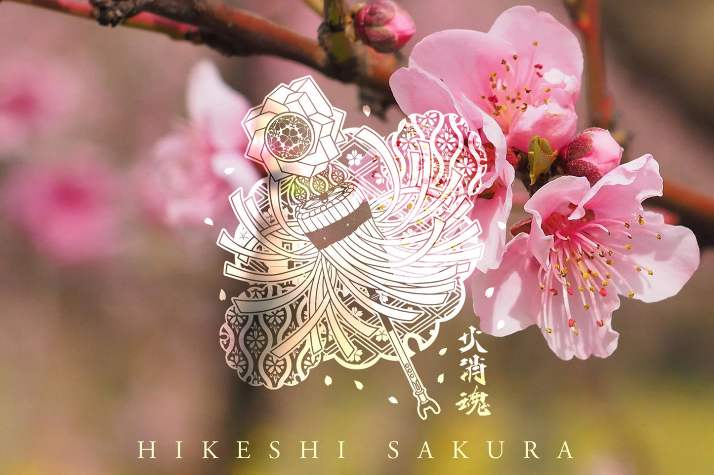 HiKESHi SPiRiT 桜花爛漫UV キッズTシャツ