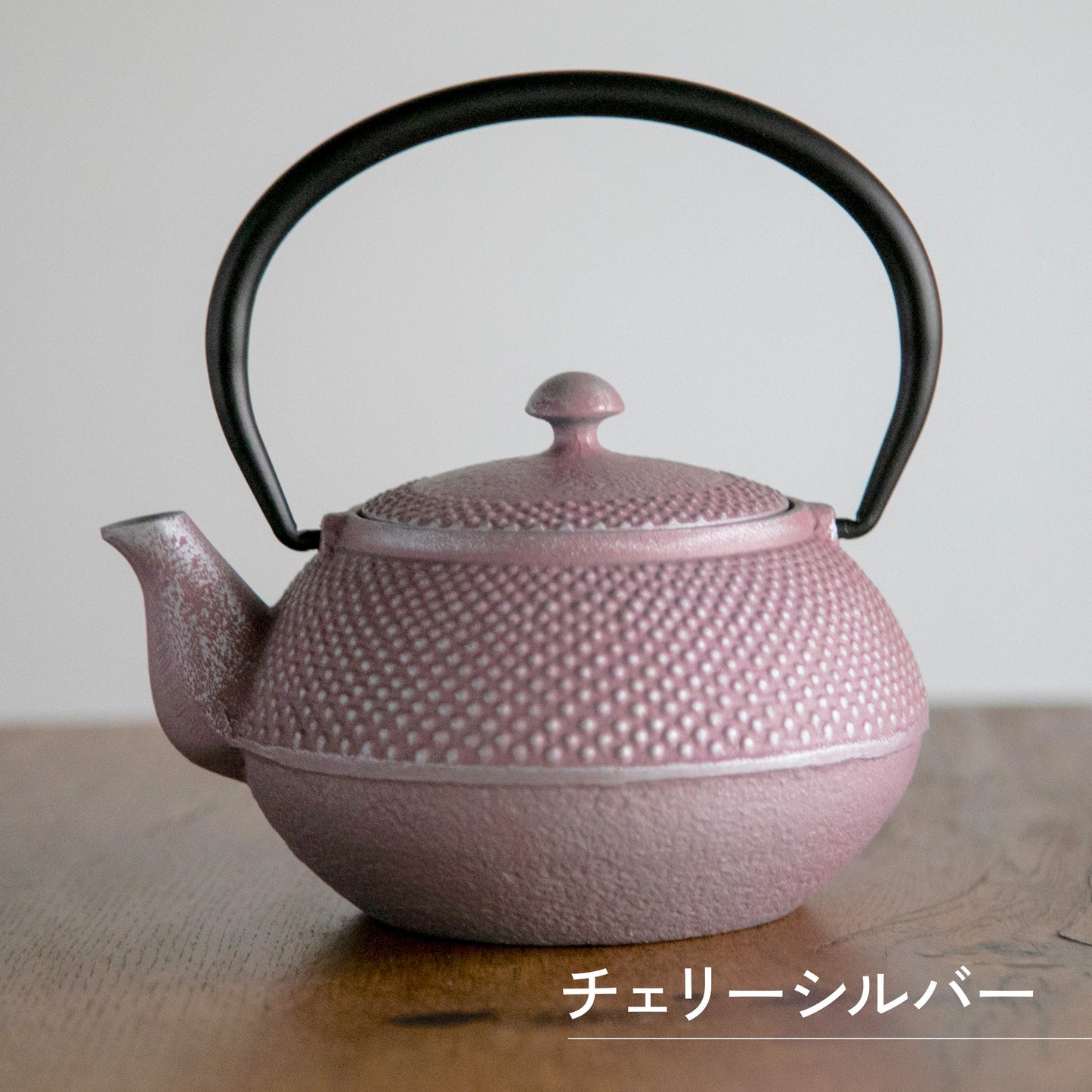 ロジアソシエイツ 南部鉄器急須 あられ 0.4L