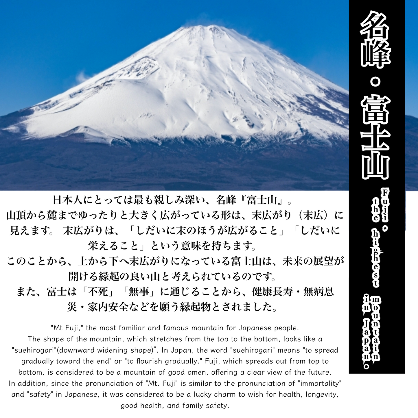 のレン 富士山 Tシャツ ユニセックス S~3XL