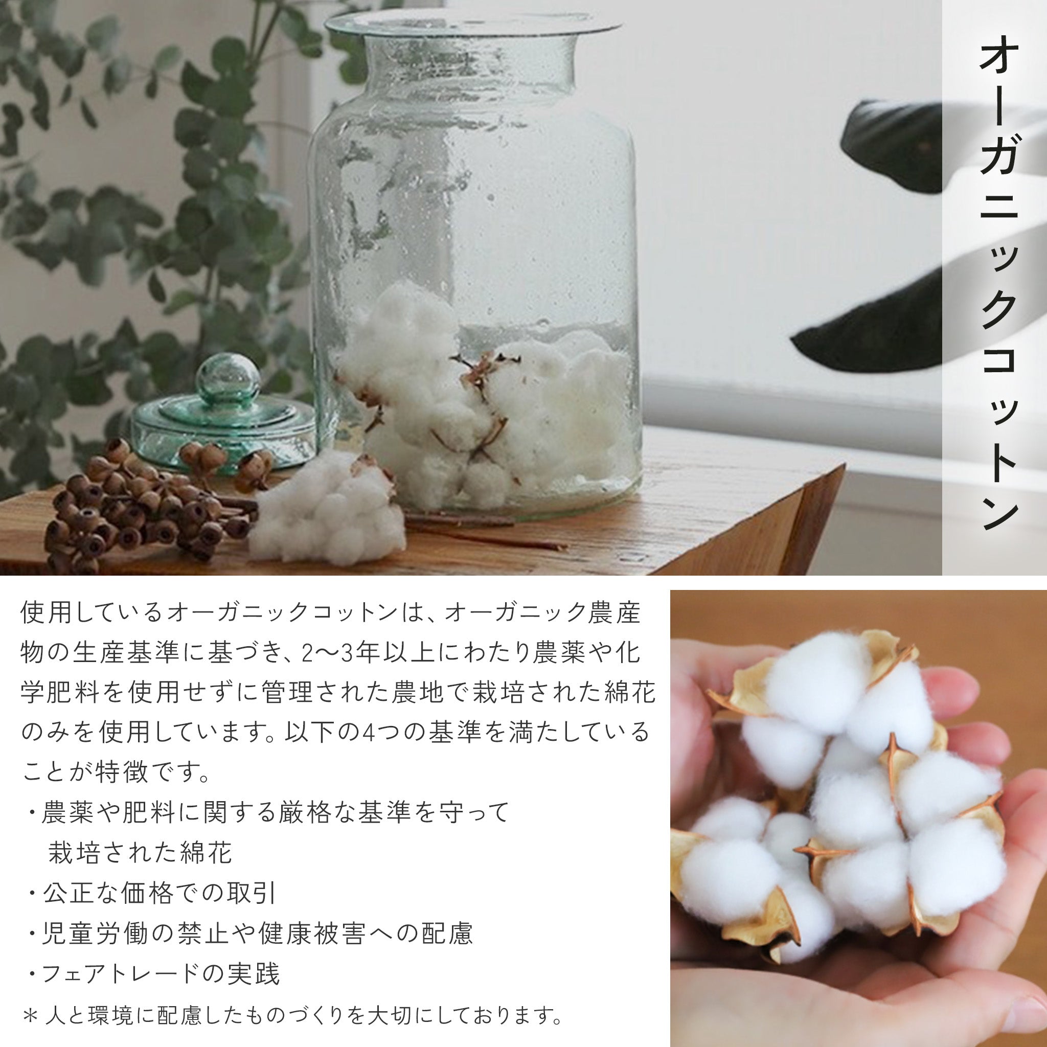 風呂敷 ひめむすび Adeline Klam 100cm ( 三巾 ) オーガニックコットン100%　　　