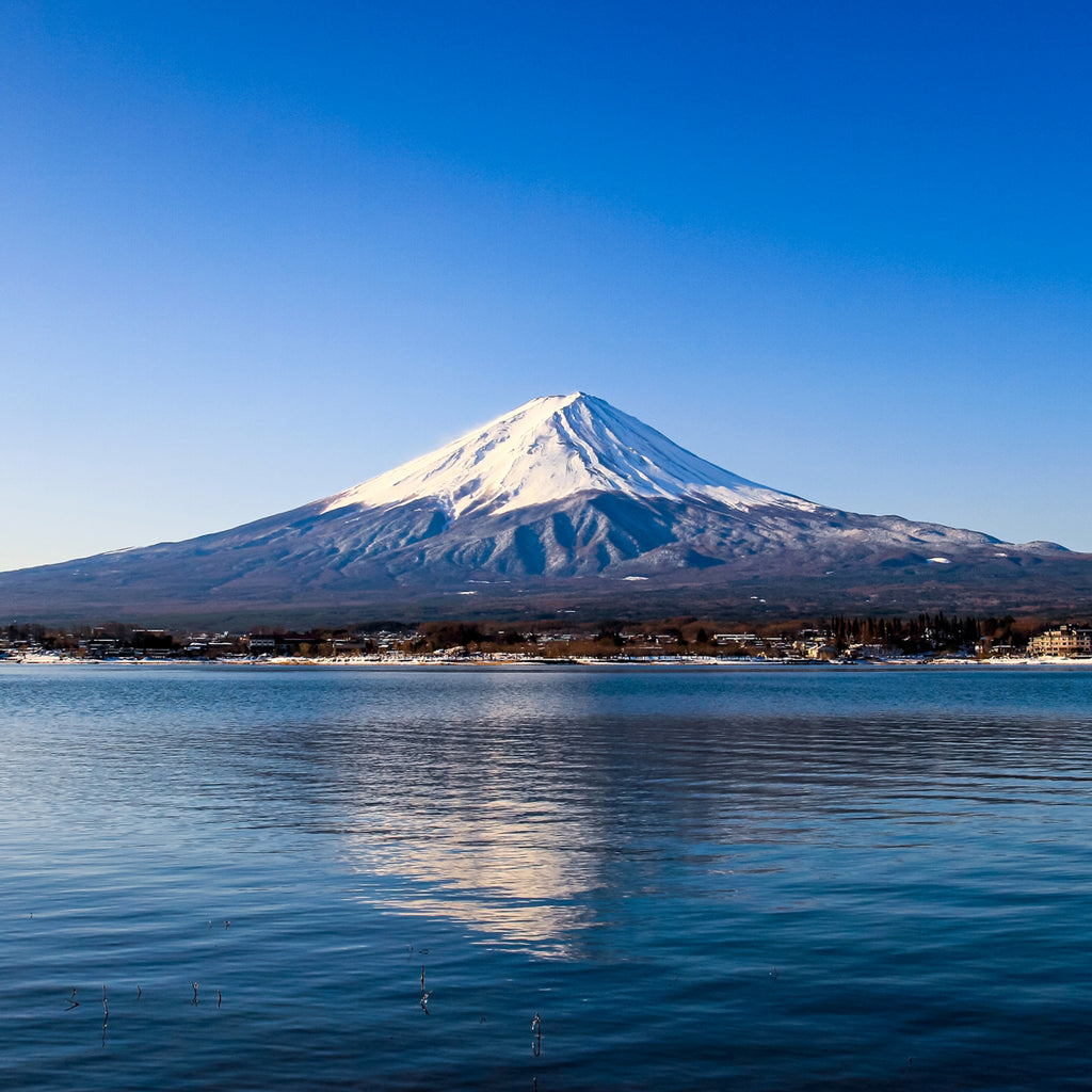 のレン Tシャツ (富士山）/ ユニセックスサイズ S～3XL　