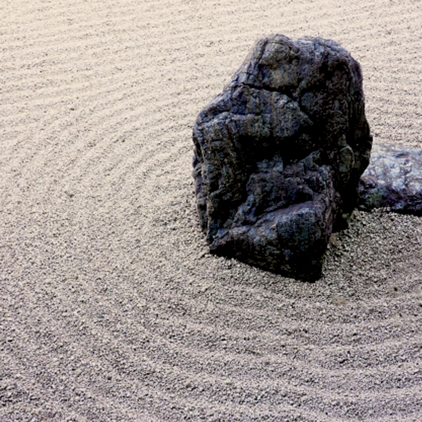 のレン Tシャツ (禅）/ ユニセックスサイズ S～3XL