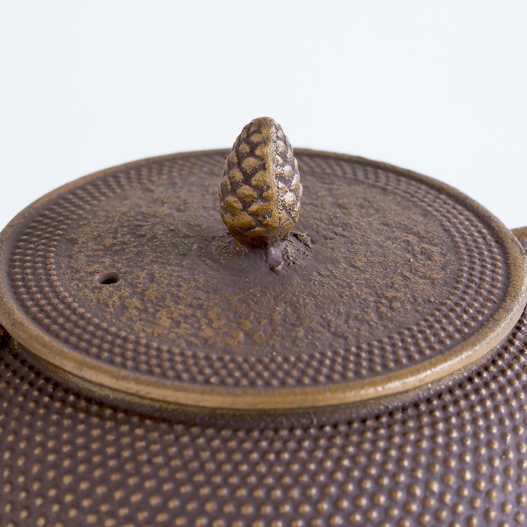 ロジアソシエイツ 南部鉄器急須 あられ 0.4L