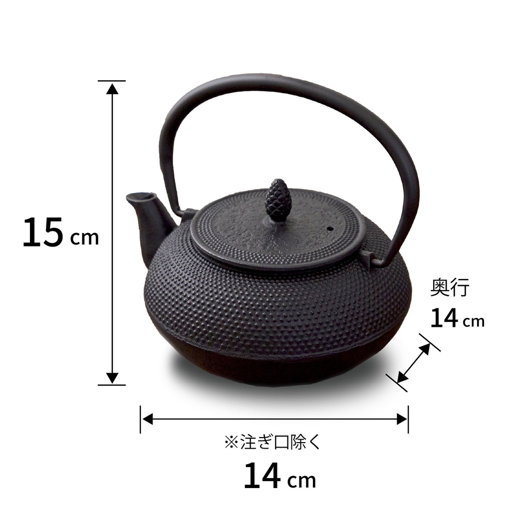 ロジアソシエイツ 南部鉄器 急須 アラレ 0.6L