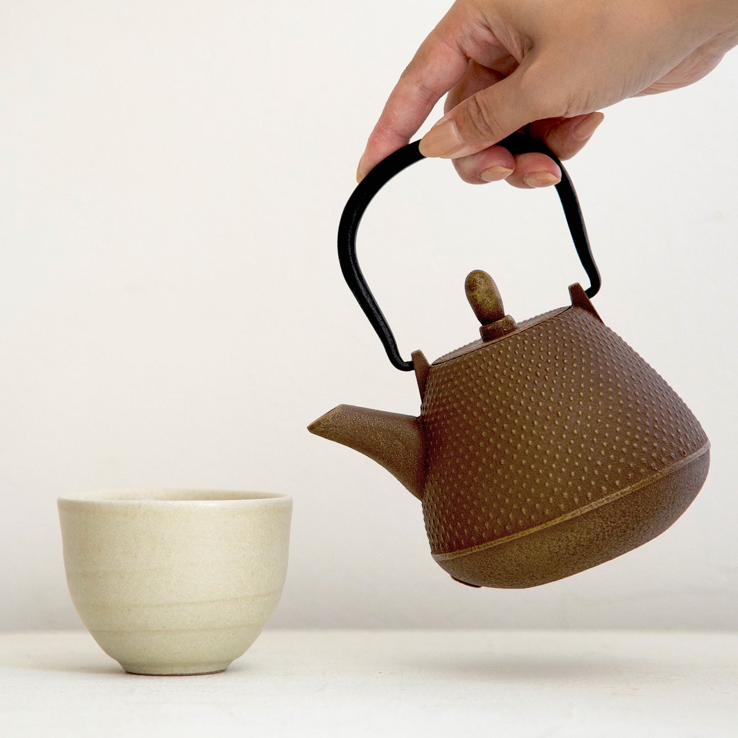 ロジアソシエイツ 南部鉄器急須 あられドーム 0.4L