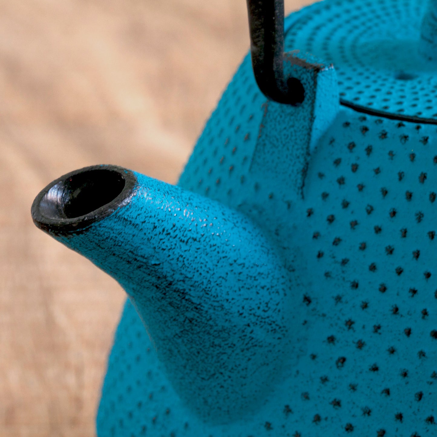 ロジアソシエイツ 南部鉄器急須 あられドーム 0.4L