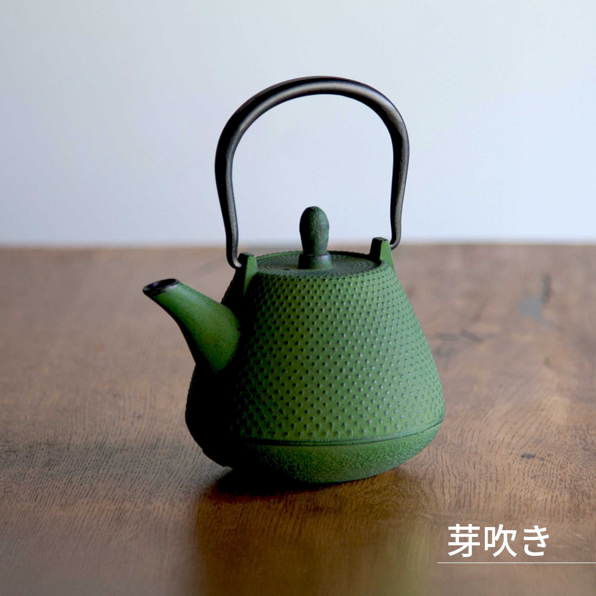 ロジアソシエイツ 南部鉄器急須 あられドーム 0.4L