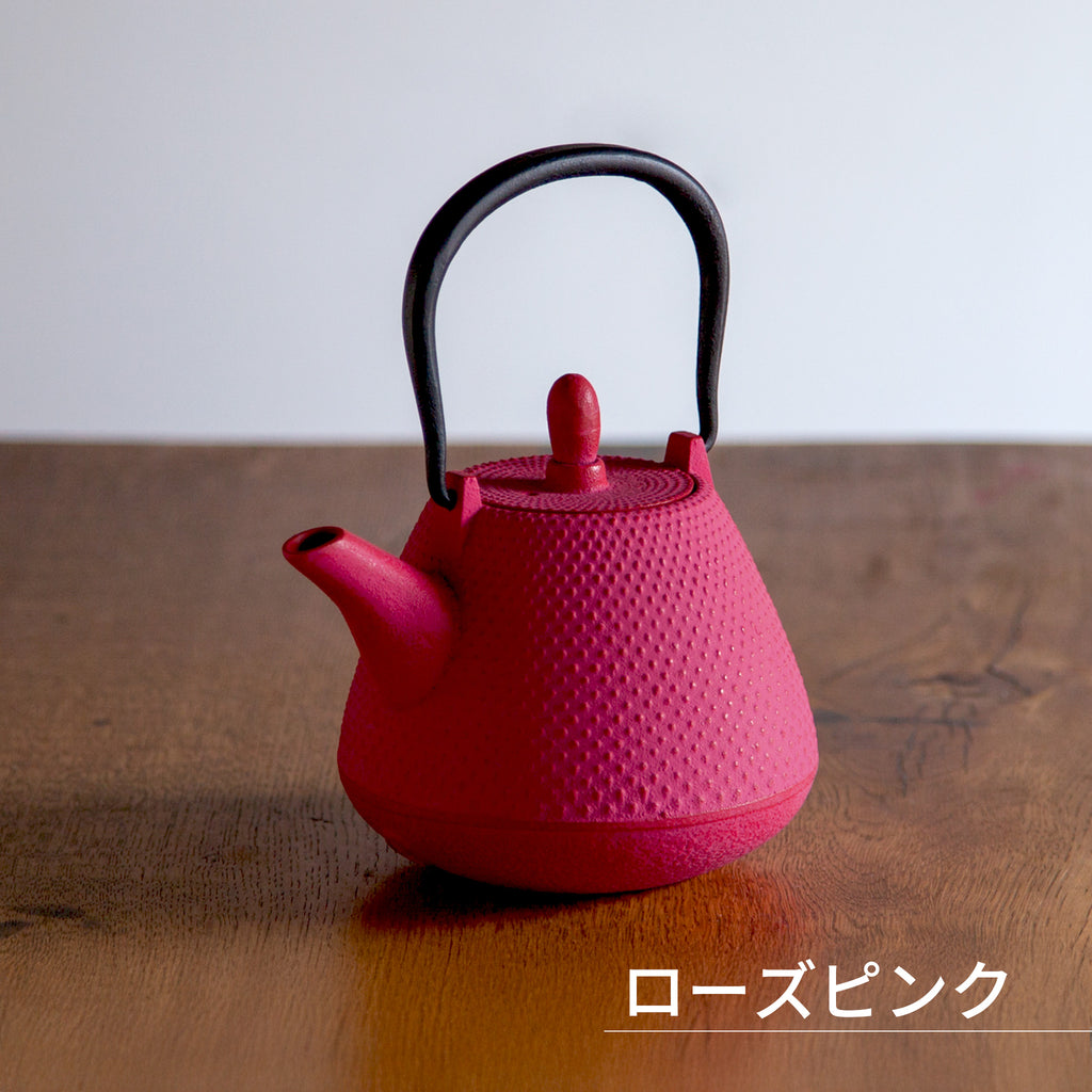 ロジアソシエイツ 南部鉄器急須 あられドーム 0.4L