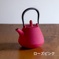 ロジアソシエイツ 南部鉄器急須 あられドーム 0.4L