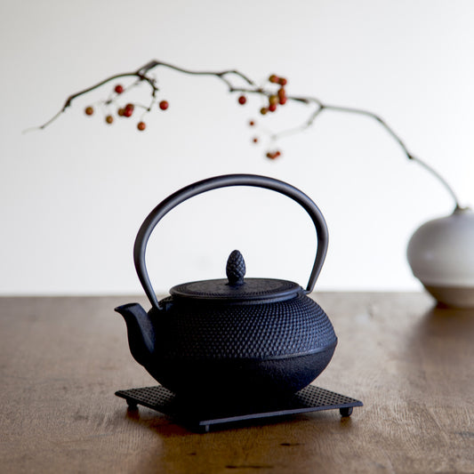 ロジアソシエイツ 南部鉄器 鉄瓶 あられ