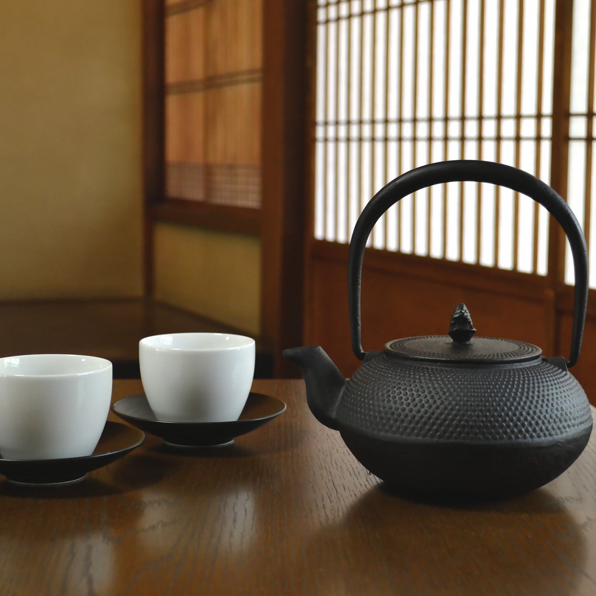 ロジアソシエイツ 南部鉄器 鉄瓶 あられ