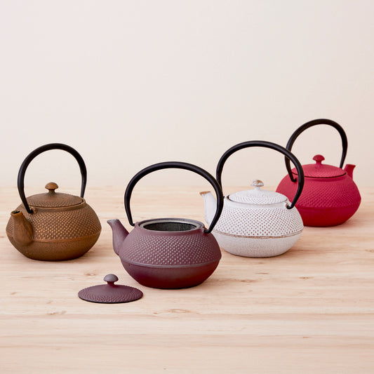 ロジアソシエイツ 南部鉄器急須 あられ 0.4L