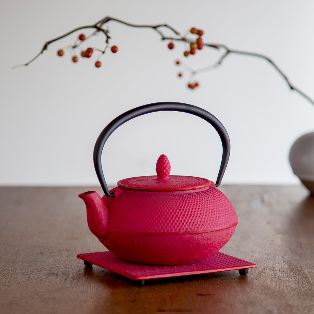 ロジアソシエイツ 南部鉄器急須 あられ 0.4L