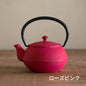 ロジアソシエイツ 南部鉄器急須 あられ 0.4L